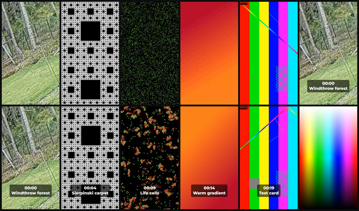Contact sheet of an exported fast-cut intro. The top row shows the first frame of five five-frame teasers (a forest lawn, a black and white Sierpinski pattern, green and red cells, an orange gradient and a colour-bar test card) and then the first body frame with the label 00:00 Windthrow forest. The bottom row shows labelled body frames for each clip and an unlabelled colour spectrum clip