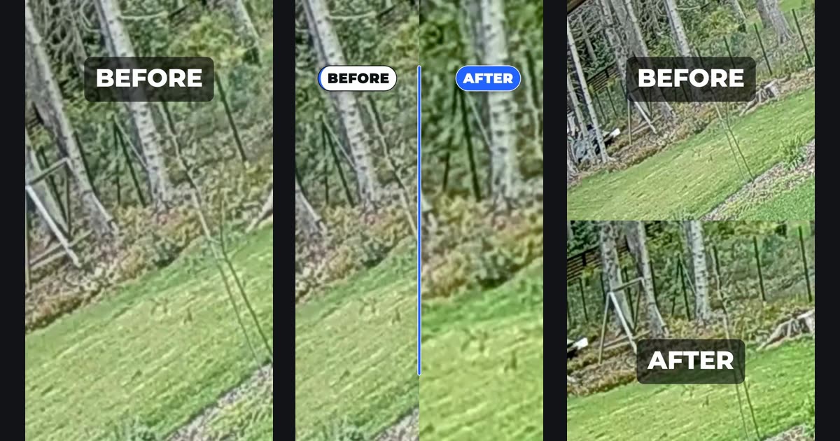 Three exported 9:16 frames of a garden clip: a BEFORE title over the tilted original, the free Before / After overlay's BEFORE and AFTER badges over two side-by-side halves, and stacked halves labelled BEFORE above and AFTER below