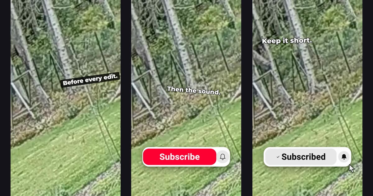Three frames from one vertical export over forest footage: the caption Before every edit in a tilted black box at mid-right, Then the sound above a red Subscribe button, and Keep it short at the upper left above a Subscribed button